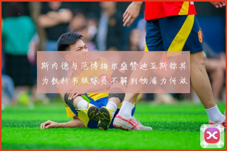 斯内德与范博梅尔盛赞迪亚斯称其为教科书级球员不解利物浦为何放弃他